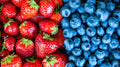Strawberry & Blueberry Seed Oil